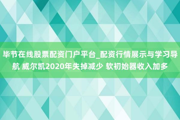 毕节在线股票配资门户平台_配资行情展示与学习导航 威尔凯2020年失掉减少 软初始器收入加多
