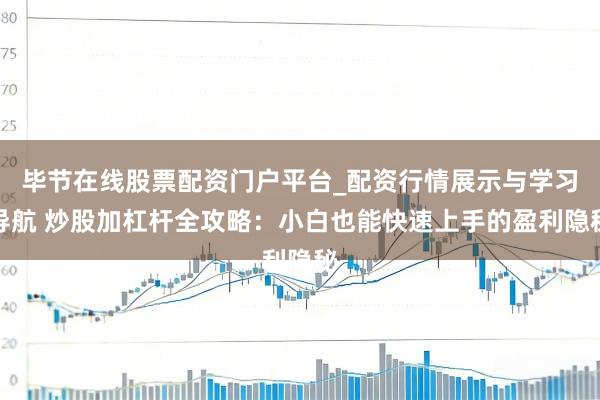 毕节在线股票配资门户平台_配资行情展示与学习导航 炒股加杠杆全攻略:小白也能快速上手的盈利隐秘