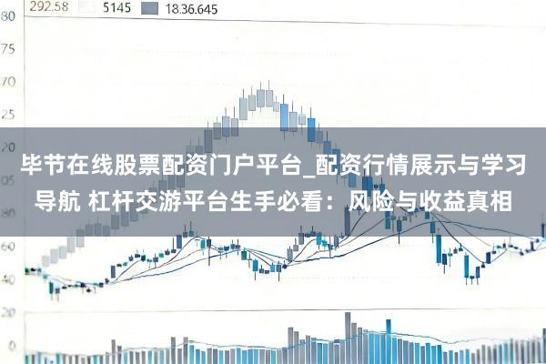 毕节在线股票配资门户平台_配资行情展示与学习导航 杠杆交游平台生手必看：风险与收益真相